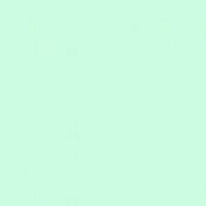 Meet your Posher, Ali